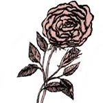 The Pink Rose discount code